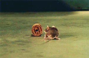 nature_04.gif