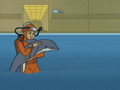nn.gif
