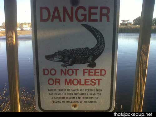 No-Molesting-Alligators.jpeg