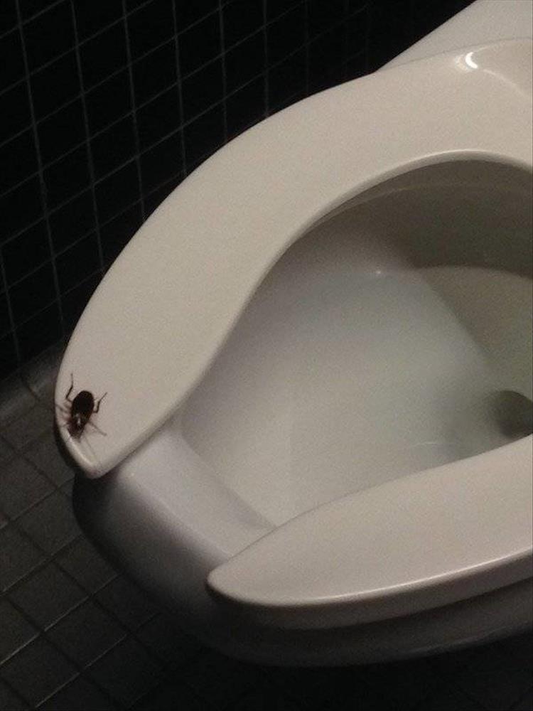 nope-7.jpg