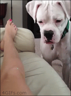 NWkvFdO6bpjva.gif