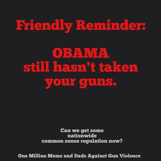 obama guns 1.jpg