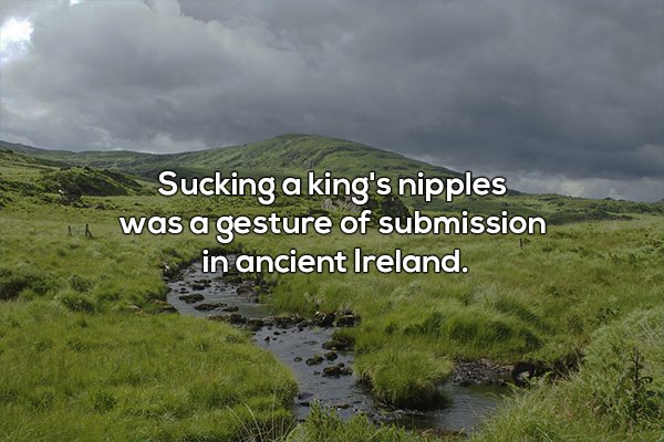 odd-20-photos-27.jpg
