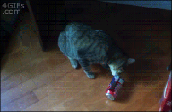oFz6GJ05QDZFS.gif