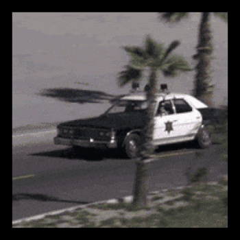 oie_animation-13.gif