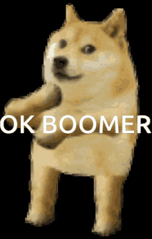 ok boomer.gif