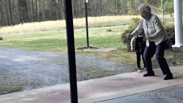 old-lady.gif