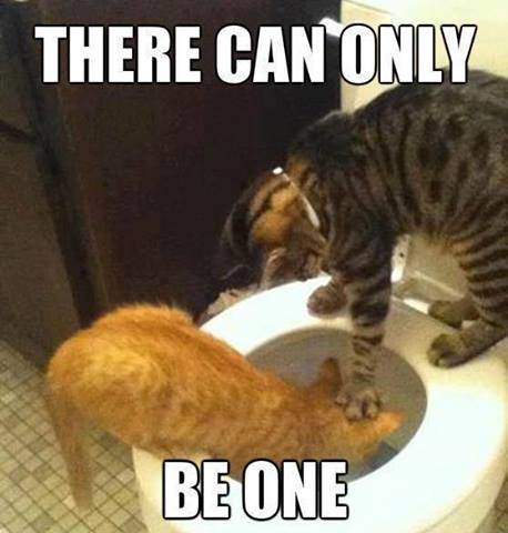 only-be-one.jpg