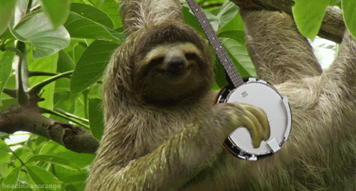 oNwUyw1.gif