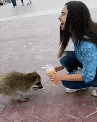 ORbIxdRIPs1yM.gif