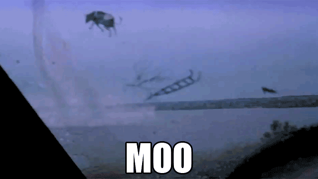 original.gif