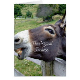 original jackass.jpg