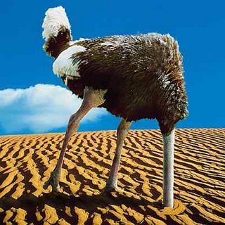 ostrich-burying-head.jpg