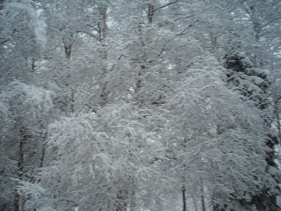 outside bedroom 003.jpg