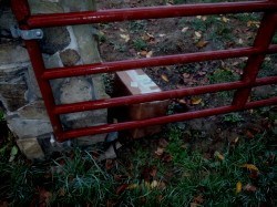 package at front door 2.jpg