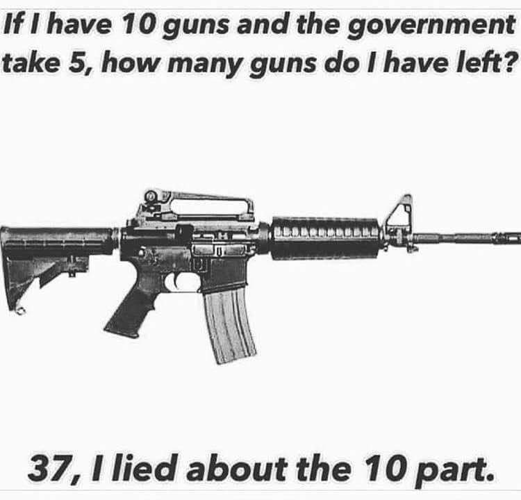 PalmettaSA37guns.jpg