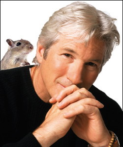 pdc_richardgeregerbil.jpg