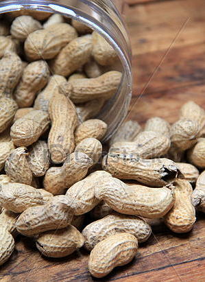 Peanuts.jpg