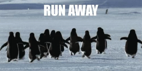 penguins-run.gif