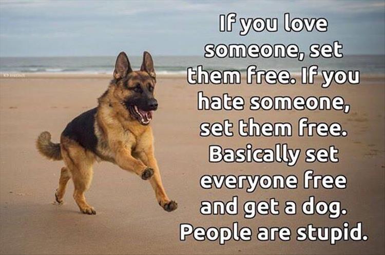 people-are-stupid.jpg