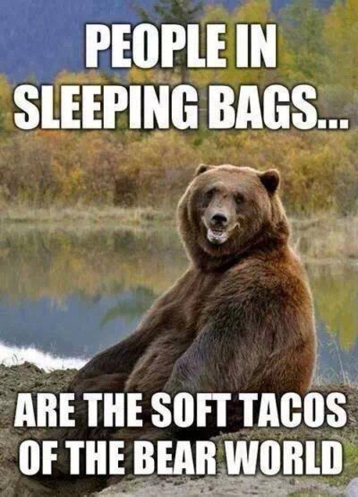People-in-sleeping-bags---bear-meme.jpg
