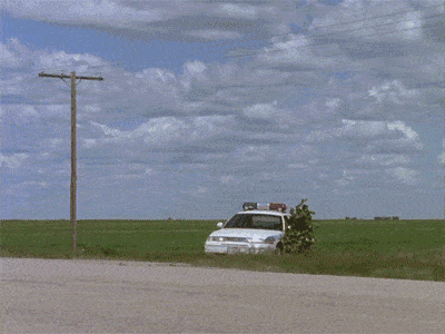 people_and_animals_who_have_sneakiness_totally_nailed_32.gif