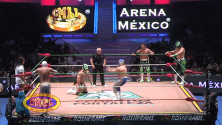 PertinentTallBoa-max-1mb.gif