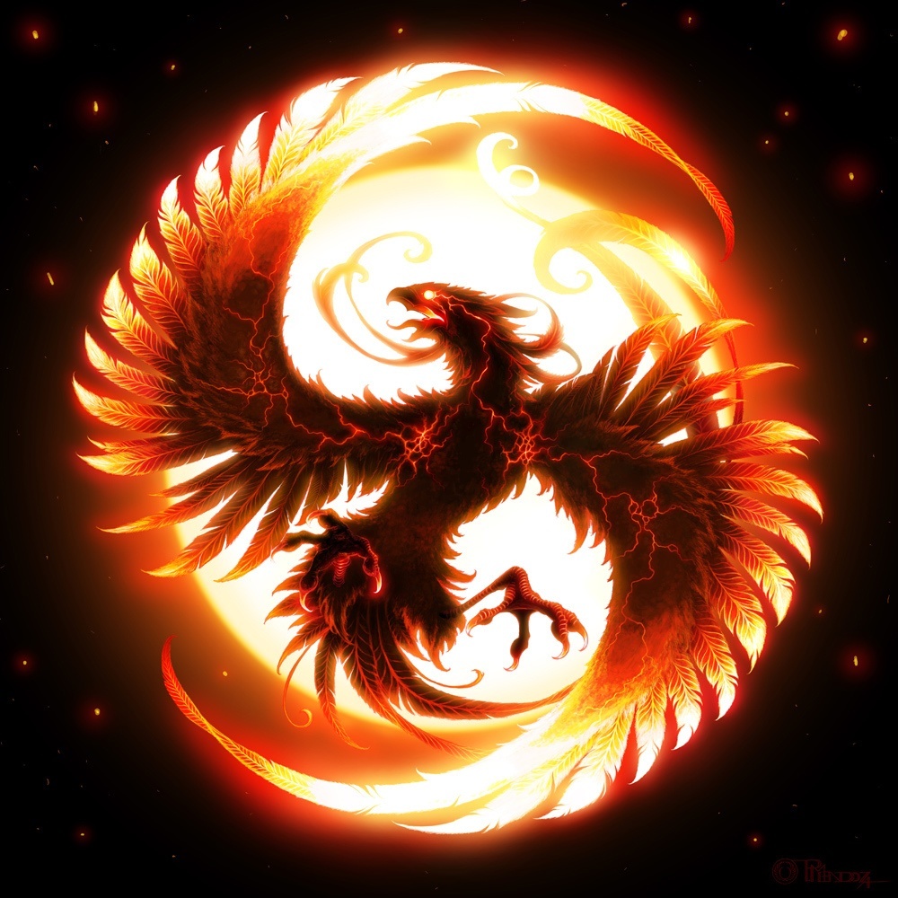 Phoenix Yin Yang.jpg