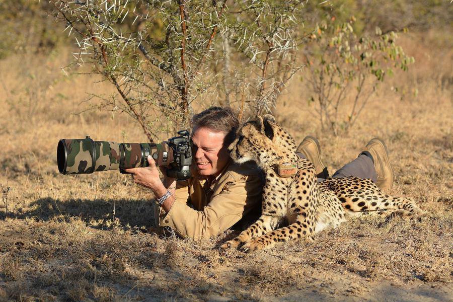 photo cheetah.jpg