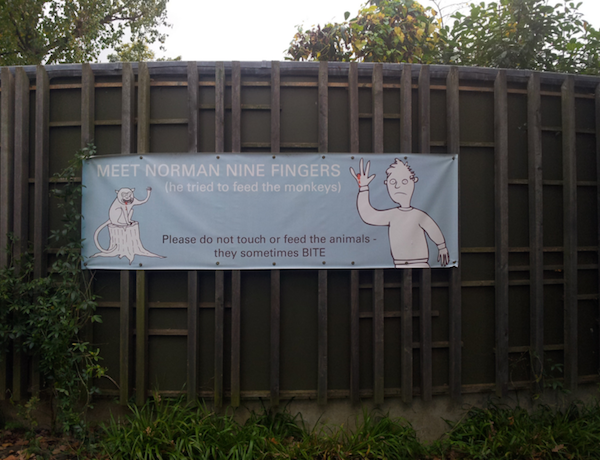 photos-25.png