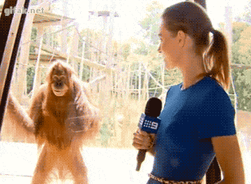 photos-42.gif