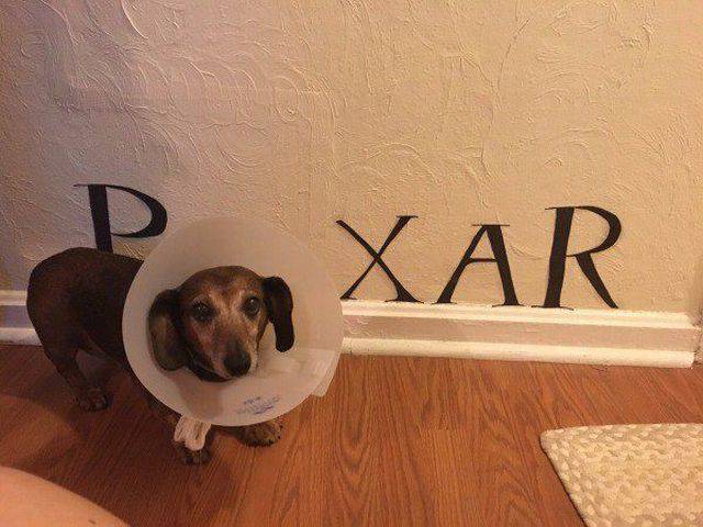 picdump_1317_21.jpg