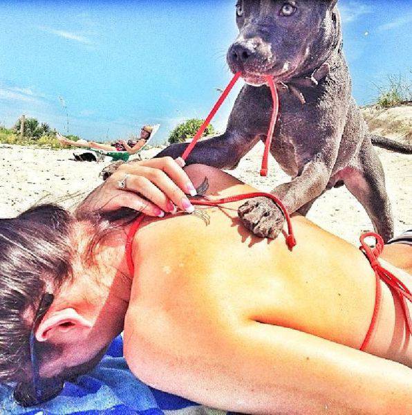 picdump_2080_17.jpg