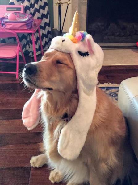 picdump_2148_16.jpg