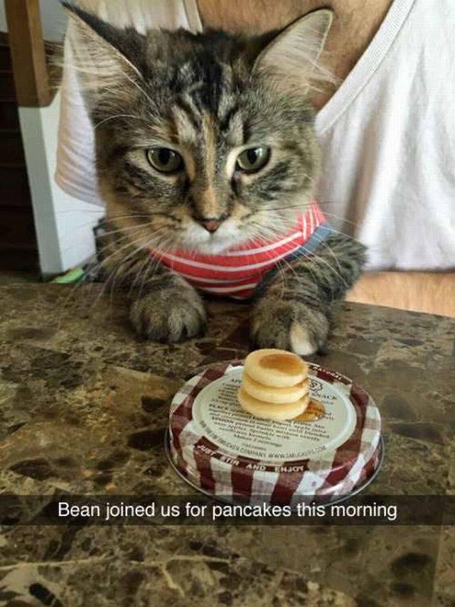 picdump_21_99.jpg