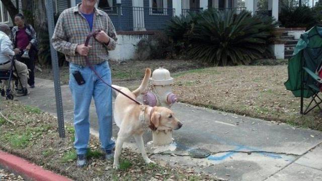 picdump_2422_07.jpg