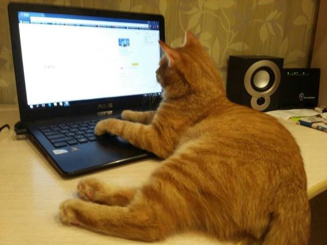 picdump_2438_04.jpg