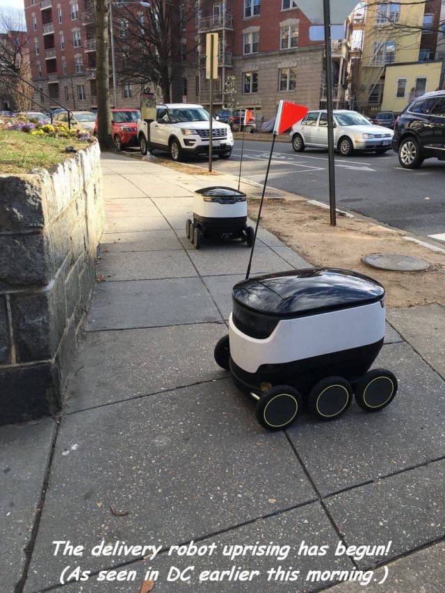 picdump_2439_04.jpg