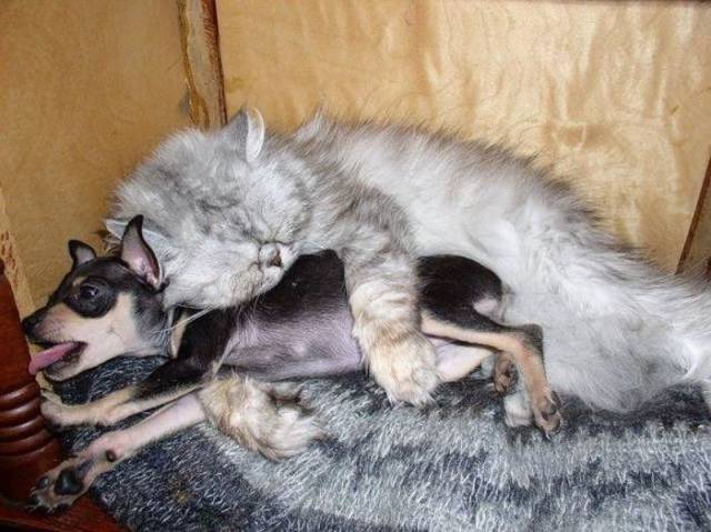 picdump_2449_26.jpg