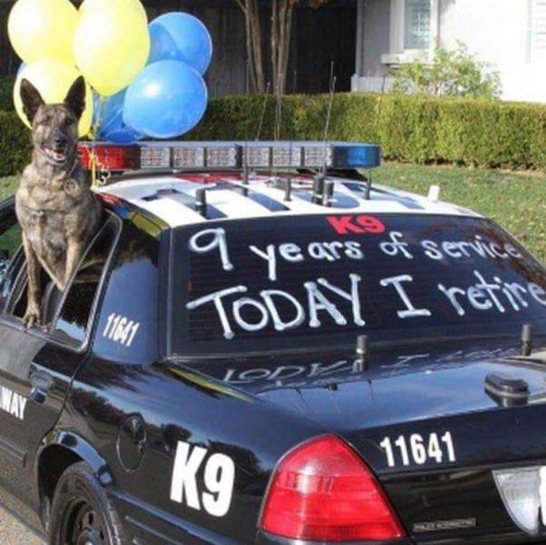 picdump_2460_75.jpg