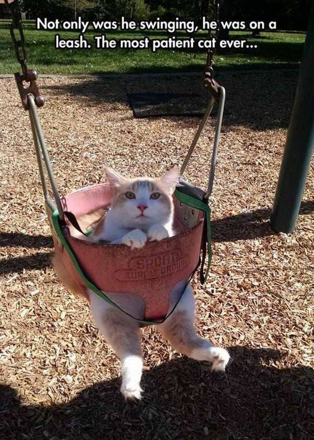 picdump_2484_59.jpg