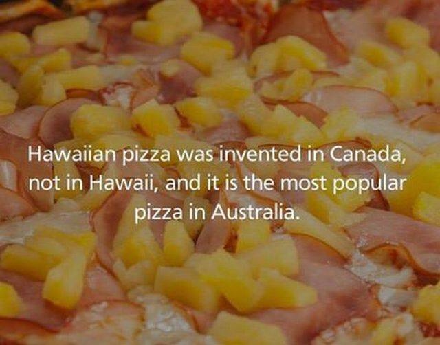 picdump_2488_11.jpg