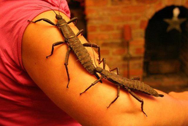picdump_2488_50.jpg