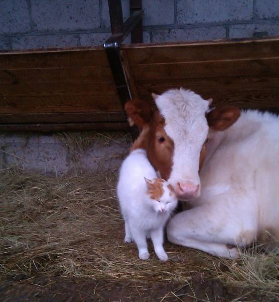 picdump_2490_33.jpg