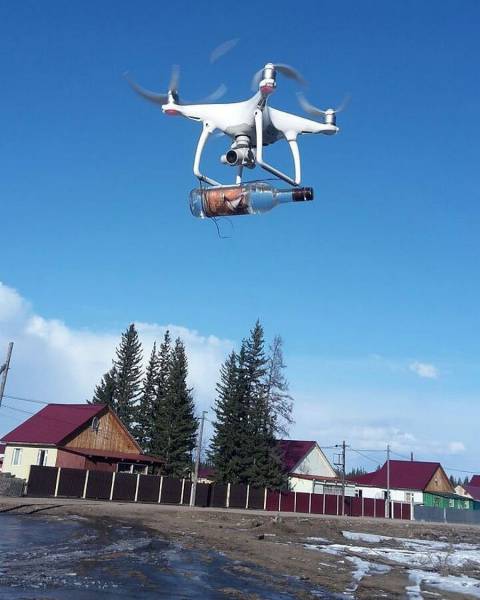 picdump_2490_55.jpg