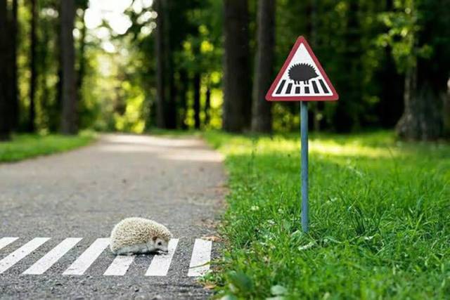 picdump_2514_93.jpg