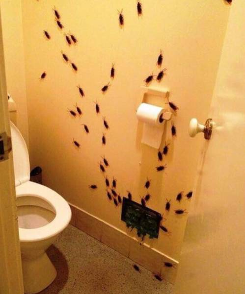 picdump_2528_13.jpg