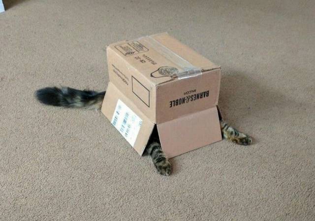 picdump_2544_68.jpg