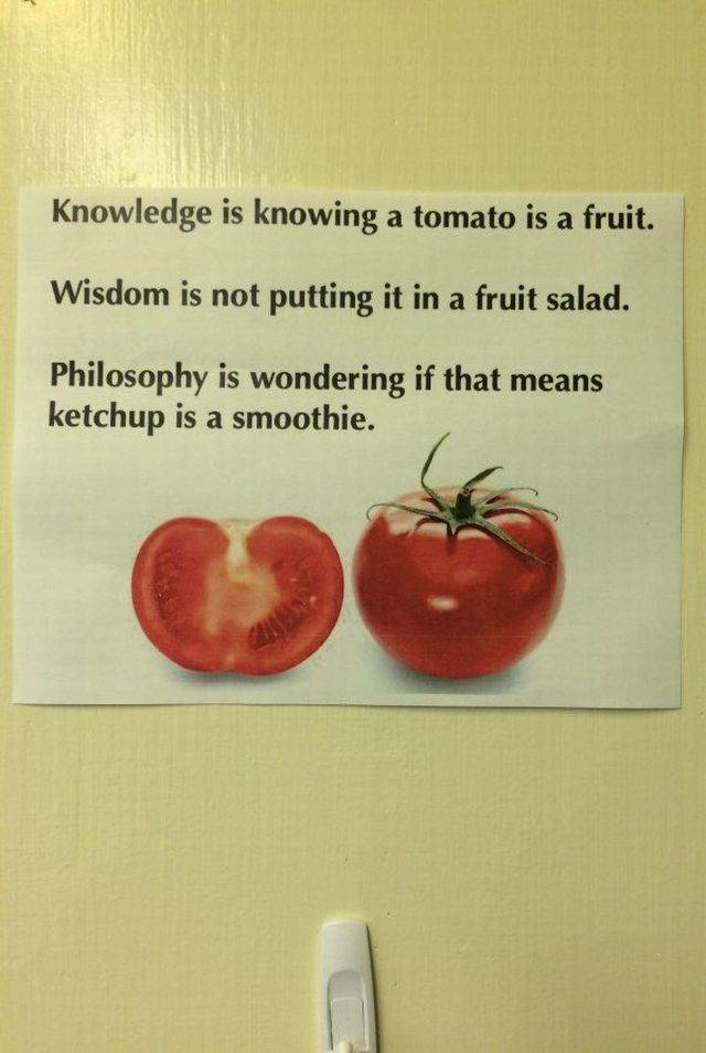 picdump_2555_18.jpg