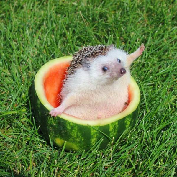 picdump_2561_40.jpg